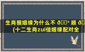生肖猴姻缘为什么不 💮 顺 🦢 (十二生肖zui
佳姻缘配对全部)